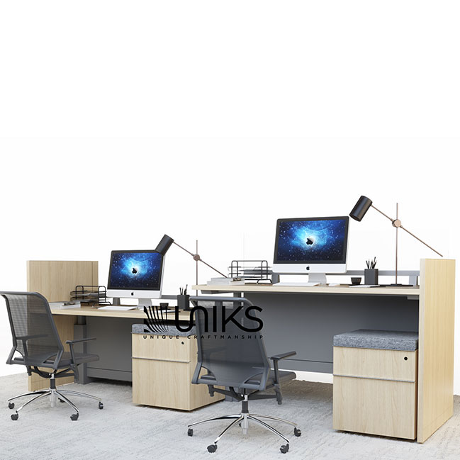 雙人桌double desk